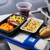 United Airlines image