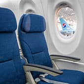 Korean Air image